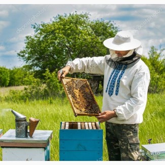 Услуга помощник пчеловода