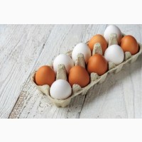 Яйцо от производителя оптом крупным