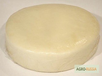 Фото 2. Сыр из Адыгеи от производителя: Адыгейский, сулугуни, чечил