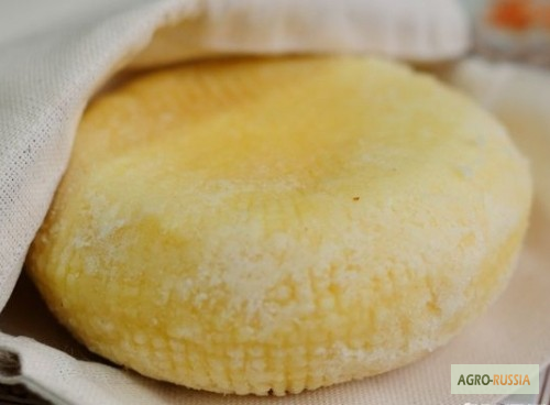Фото 5. Сыр из Адыгеи от производителя: Адыгейский, сулугуни, чечил