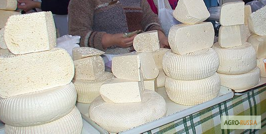 Фото 6. Сыр из Адыгеи от производителя: Адыгейский, сулугуни, чечил