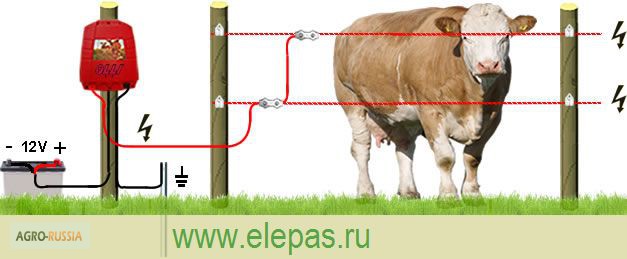 Фото 2. Электропастух для крс коров