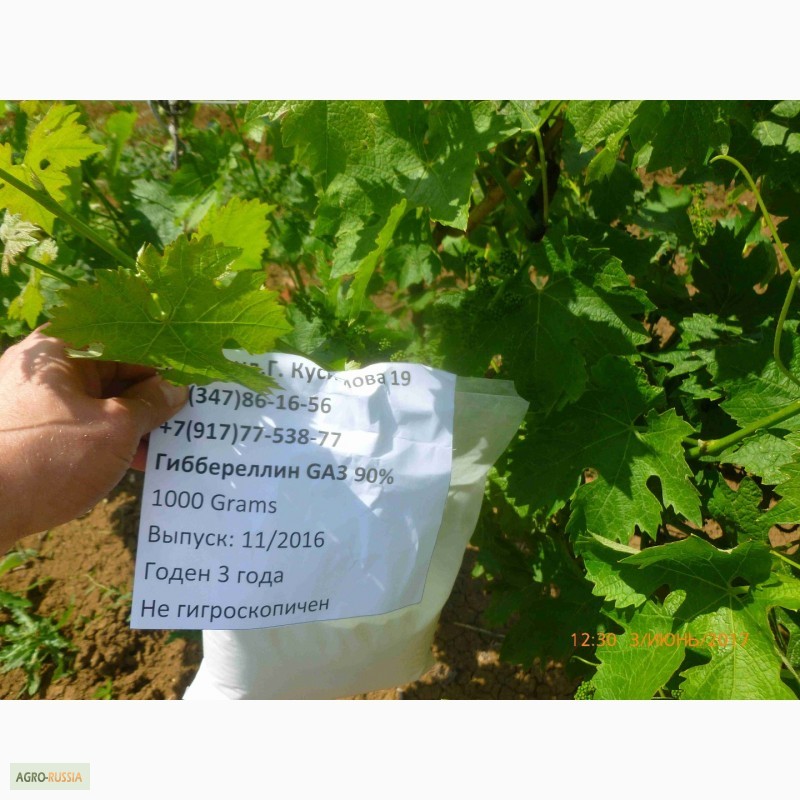 Продам/купить гиббереллин 90% стимулятор роста растений, РеспубликаБашкортостан — Agro-Russia