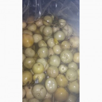 Продам зеленый маринованный помидор