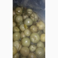 Продам зеленый маринованный помидор