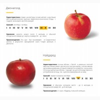 Яблоко из Молдовы. с доставка в Снг