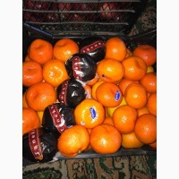 Продажа мандаринов оптом