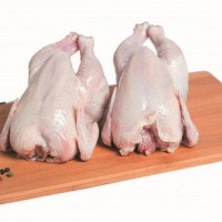 Продам цыплят корнюшонов вес400 500 грамм экологически чистые