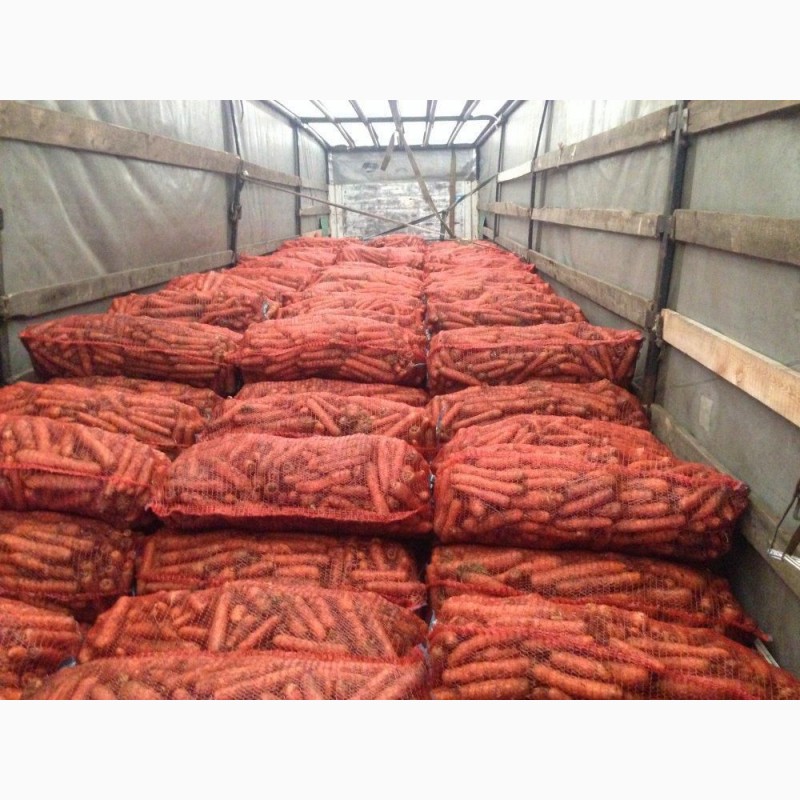 Фото 3. Морковь оптом со склада производителя; Урожай 2019