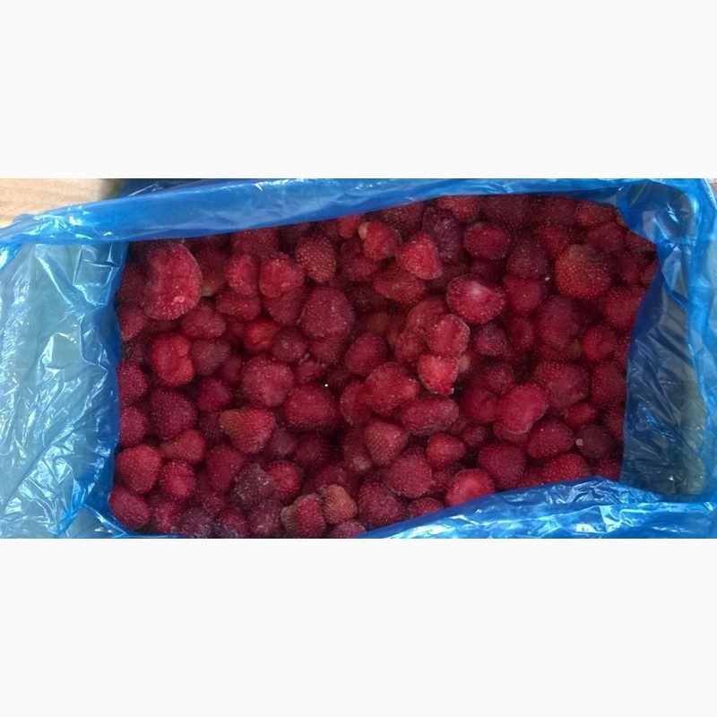 Фото 3. Замороженные ягоды оптом