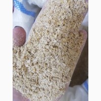 Отруби пшеничные/ содержание белка 17% / КАЗАХСТАН / КОСТАНАЙ