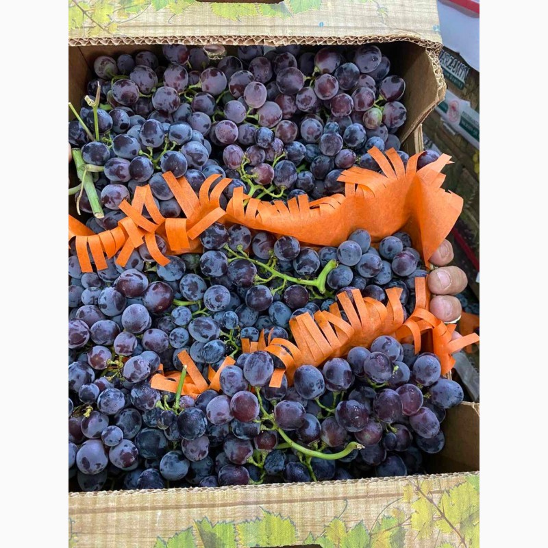 Фото 3. Продаем оптом виноград victoria, red glob и другие сорта