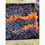 Продаем оптом виноград victoria, red glob и другие сорта