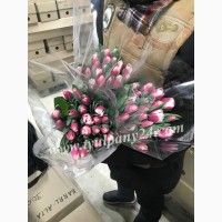 Тюльпаны оптом Иркутск (45-70см) и мимоза к 8 марта 2022г