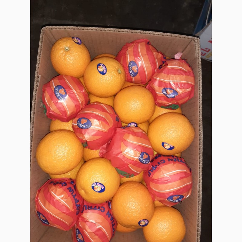 Фото 4. Апельсины оптом 1-2 категории