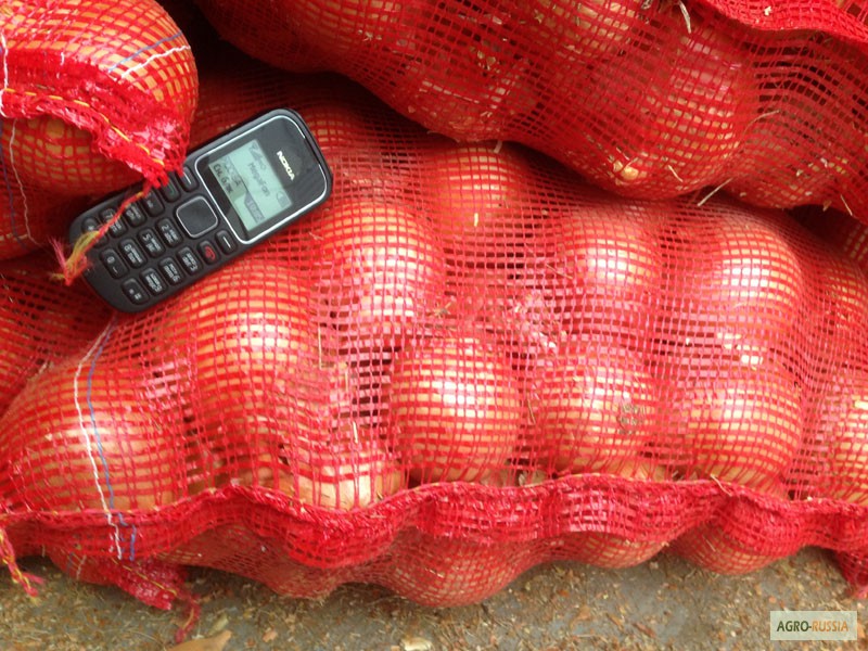 Лук репчатый, сетка 25 кг (красная), 25 тонн