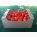 Продаем помидоры красные сорт Хайнц дешево из р. Дагестан