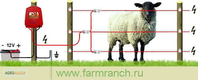 Электропастух для овец