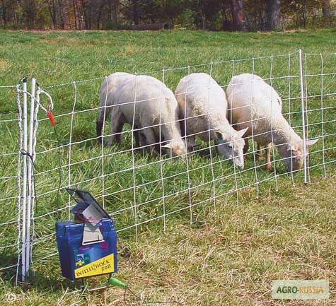 Фото 6. Электропастух для овец