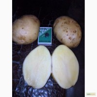 Продам картошку от фермера оптом Рязань