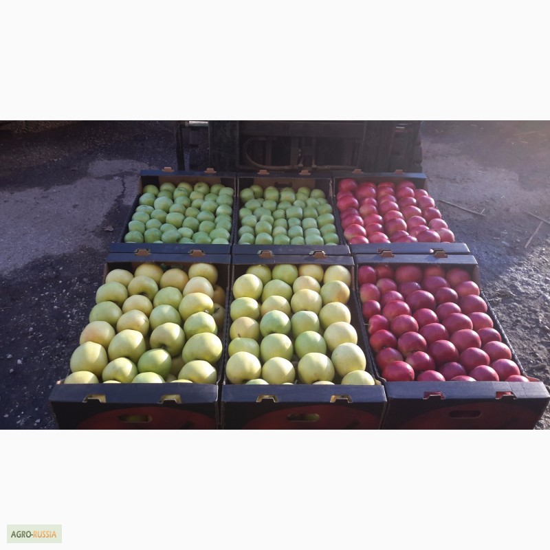 Фото 5. Овощи Фрукты Ягоды Грибы Из Молдовы