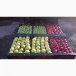Овощи Фрукты Ягоды Грибы Из Молдовы