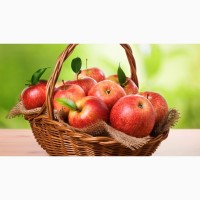 Оптом-Розница яблоки