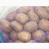 Картофель от 30 кг в Воронеже от фермера