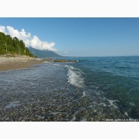 Отдых в Абхазии летом 2021 года у моря Гребешок
