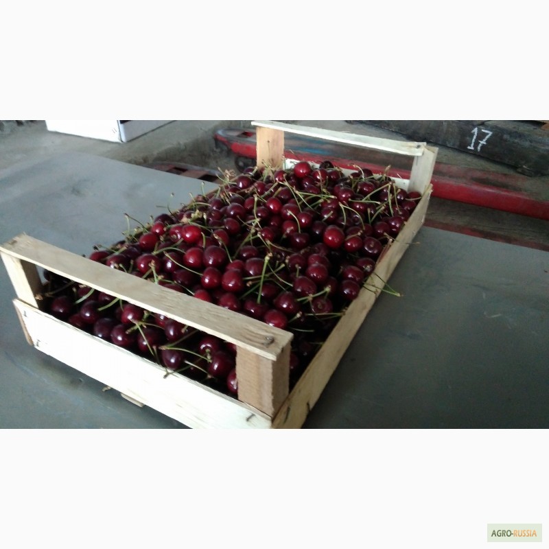 Фото 11. Ящик-лоток шпоновый для для упаковки черешни, персика и клубники