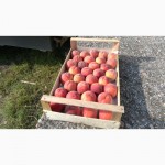 Ящик-лоток шпоновый для для упаковки черешни, персика и клубники