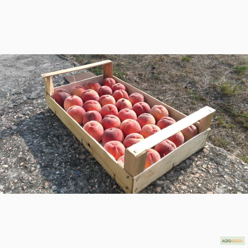 Фото 14. Ящик-лоток шпоновый для для упаковки черешни, персика и клубники