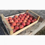 Ящик-лоток шпоновый для для упаковки черешни, персика и клубники