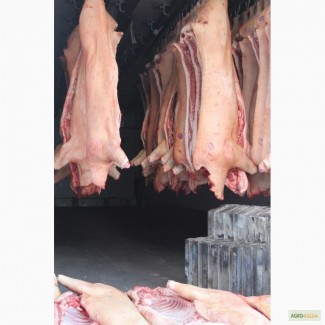 Мясо свинины 3 категории