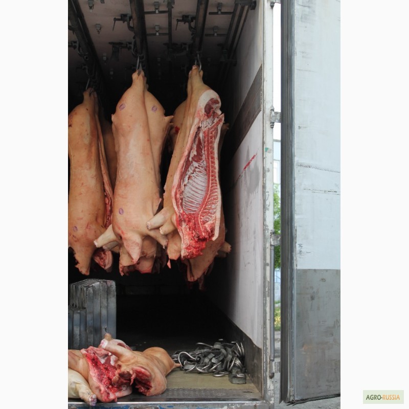 Фото 2. Мясо свинины 3 категории