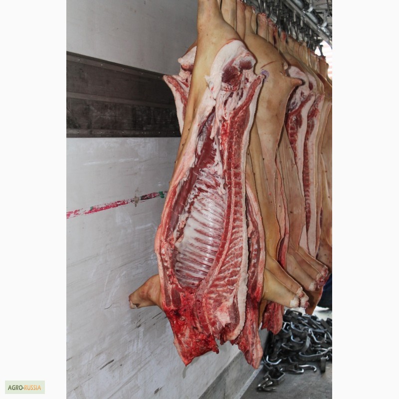Фото 5. Мясо свинины 3 категории