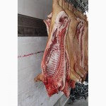 Мясо свинины 3 категории