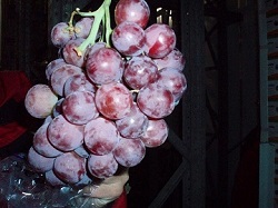 Фото 3. Прямые поставки винограда