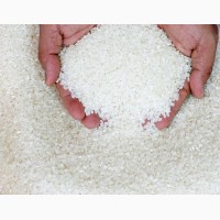 Рис рапан регул краснодарский круглозерный длиннозерный оптом от 20 тонн ГОСТ ТУ 5 - 30%