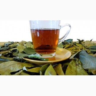 Короссоль. Лечебный чай из Западной Африки