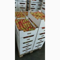 Продаём яблоки, оптом от производителя