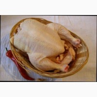 Охлажденное свежее мясо домашней птицы (Бройлерные куры и т.д)