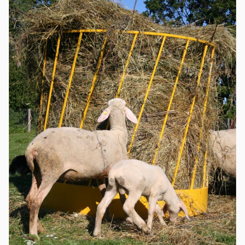 Кормушки для сена для коз и овец