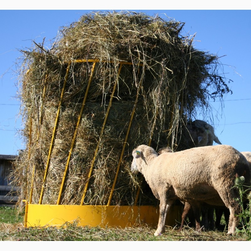 Фото 2. КОрмушка для овец