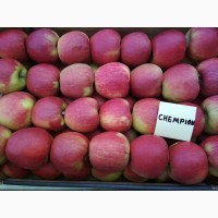Яблоки из Молдавии оптом напрямую от производителя