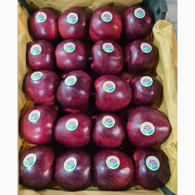 Фото 2. Продажа иранских яблок