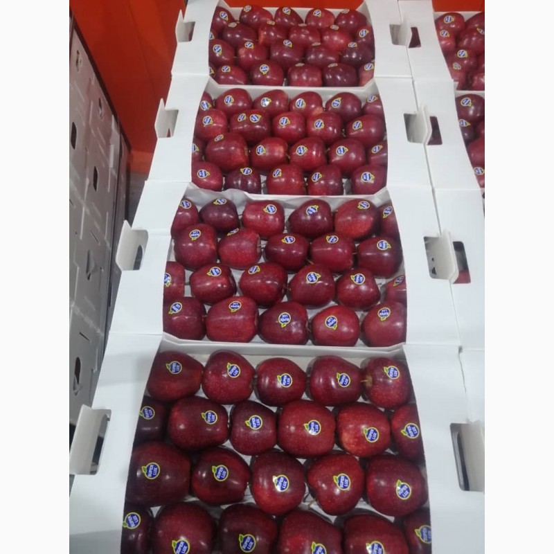 Фото 3. Продажа иранских яблок