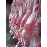 Оптовая продажа Алтайской говядины