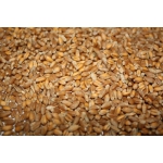 Продам сено, зерно, комбикорма, дробленку, пшеницу