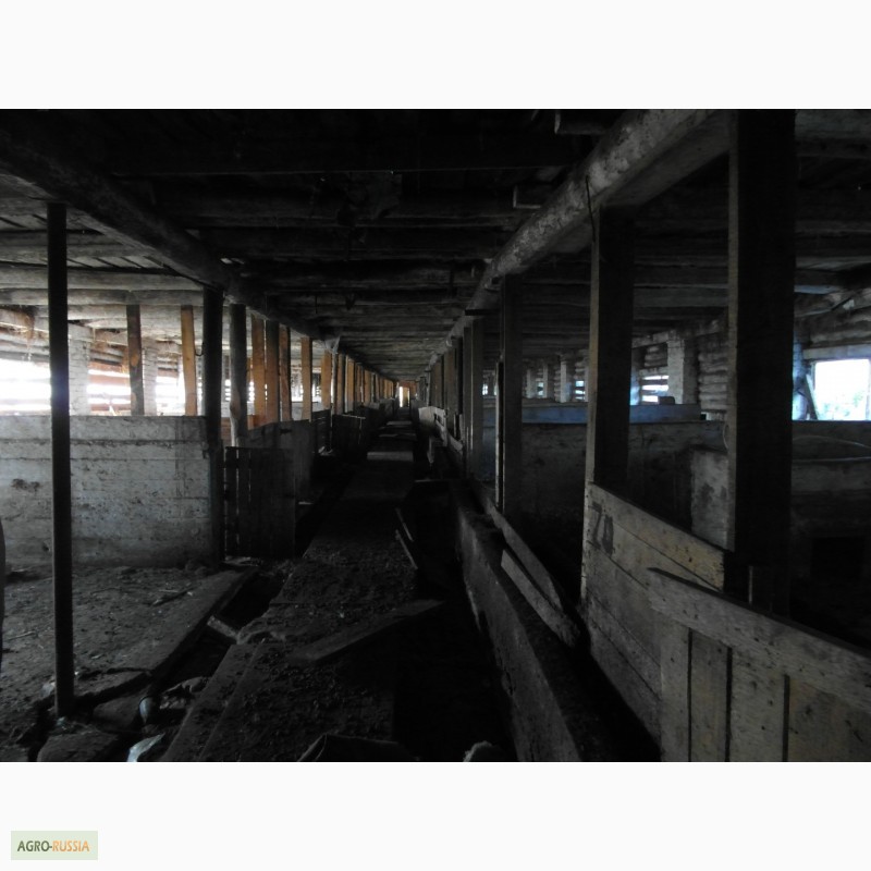 Фото 3. Ферма/коровник, помещение под производство и склад